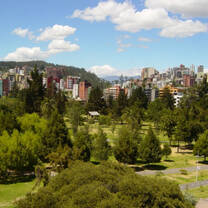buildings in the distance with green hills and trees