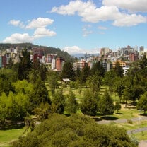 buildings in the distance with green hills and trees