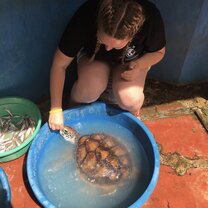 Feeding the turtles