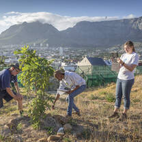 Urban Greening Internship Cape Town