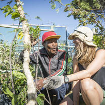 Horticulture, Urban Farming and Eco Education Internship