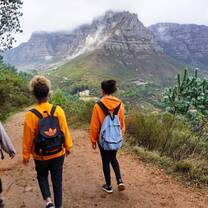 Views from Lion's Head