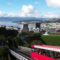 View of Wellington