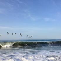 Monterrico Beach