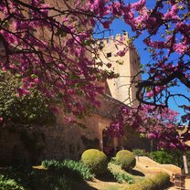 A beautiful view of the Alhambra in the spring. 