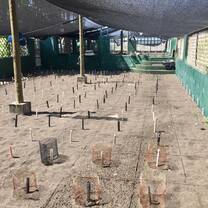 Turtle Hatchery