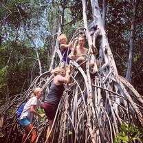 Mangrove reforestation project Monterrico/ARCAS