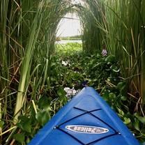 Mangrove Kayaking