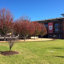 beautiful view of Parramatta South Campus