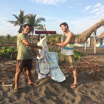 Beach Cleanup
