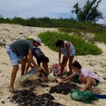 beach cleanup