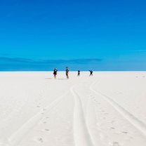 beach, desert, friends