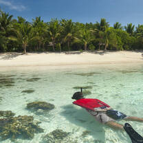 Belize: Caribbean Wildlife Adventure with Discover Corps