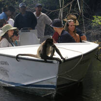 Belize: Caribbean Wildlife Adventure with Discover Corps
