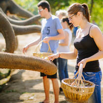 Thailand-Elephants-Islands-Expedition-with-Discover-Corps