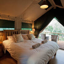 South-Africa-Wildlife-Conservation-Experience-with-Discover-Corps