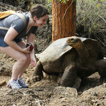 Galapagos Islands: Family Volunteer Vacation with Discover Corps