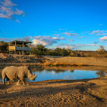 South-Africa-Wildlife-Conservation-Experience-with-Discover-Corps