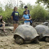 Galapagos Islands: Family Volunteer Vacation with Discover Corps