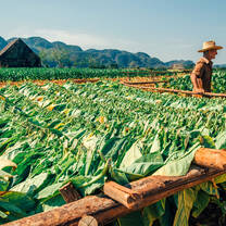 Cuba-Preserving-Nature's-Wonders-with-Discover-Corps