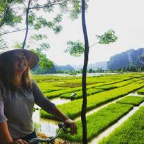 Girl on bicycle in Rice Field