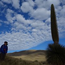 Get Paid to Teach English in Peru with TEFL Certification Get Paid to Teach English in Peru with TEFL Certification