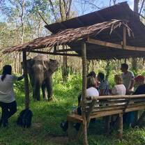 Thailand-Elephants-Islands-Expedition-with-Discover-Corps