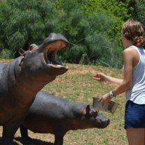 South-Africa-Wildlife-Conservation-Experience-with-Discover-Corps