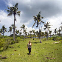 Coconut Trees