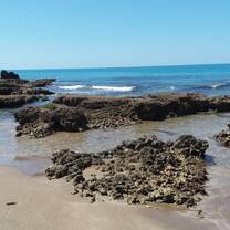 the beach nearby 
