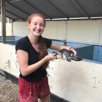 Working with the gorgeous turtles 