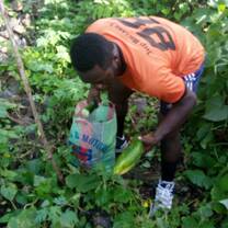 Farm Projects to Increase Food Security