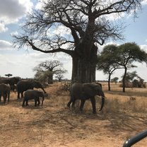 Weekends are off! Which means SAFARI time! - Magical experience x 