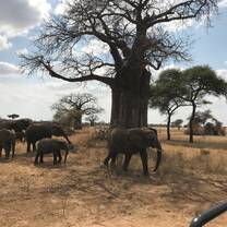 Weekends are off! Which means SAFARI time! - Magical experience x 