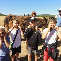 donkey trekking-france
