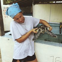 Turtle conservation