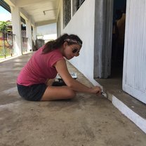 Painting a local school