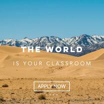 Travel abroad while studying online to get your Global Degree!