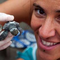 Costa Rica Sea Turtle project
