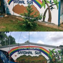 The mural we painted at sardinal sur and what it looked like when the second group finished it