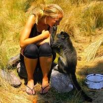 Volunteer with Howler Monkeys