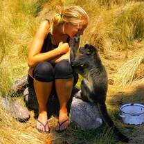 Volunteer with Howler Monkeys