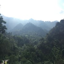 Mid-Trek Views of the Guatemalan Jungle