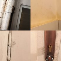 Mold in our apartment