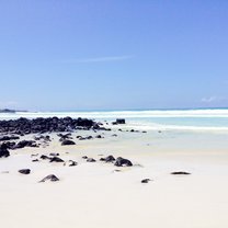 Galápagos Islands !
