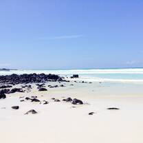 Galápagos Islands !