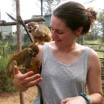 Monkey time at IPR