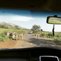 Driving to base