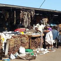 Durban traditional muthi market