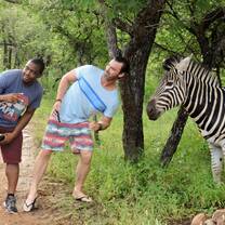 Zebra selfies
